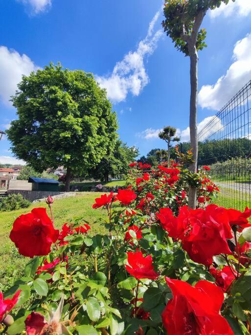 Вілла Casa Caliera Вівероне Екстер'єр фото